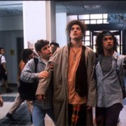 Jaskiniowiec z Kalifornii - galeria zdjęć - filmweb