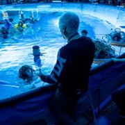 Avatar: Istota wody - galeria zdjęć - filmweb